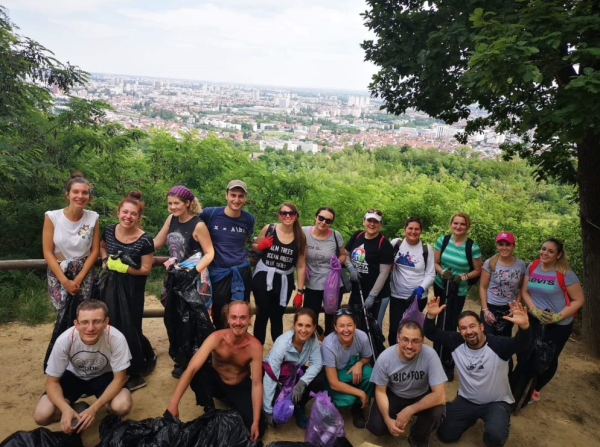 Čisteći medvjedići (Grma skupna)