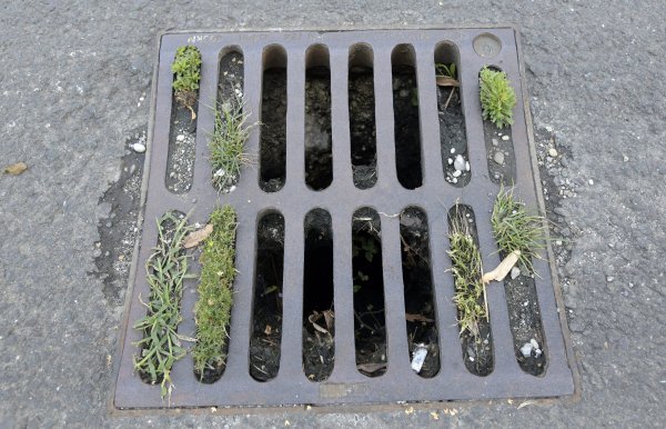 Začepljeni slivnici u Zagrebu