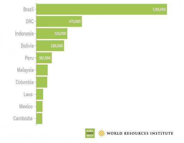 Top lista tropskih zemalja koje su lani izgubile najviše šumskih površina (u hektarima)