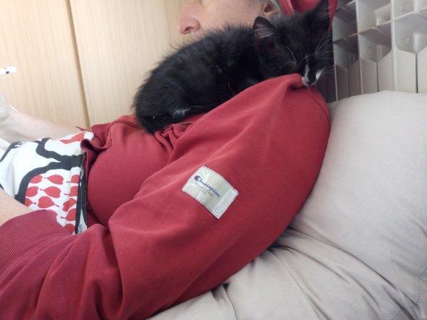 Cat S42 - primjeri fotografija