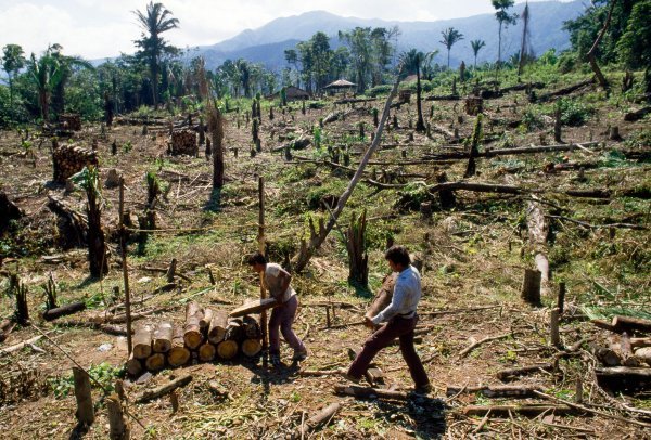 Čovječanstvo se mora suočiti s posljedicama deforestacije u najsiromašnijim dijelovima svijeta