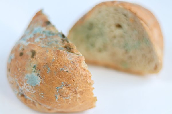 Spremanjem kruha u hladnjak ili zamrzivač znatno ćete mu produljiti trajanje