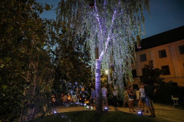 Noćni ugođaj u parku Bele IV. uz svjetlosno-zvučnu instalaciju