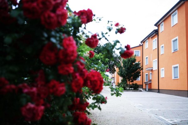 Apartmani Terra Solaris