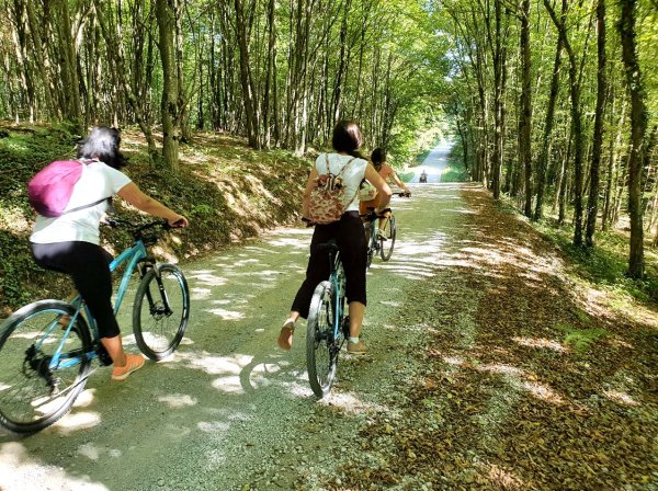 Najslađa ruta štrudle