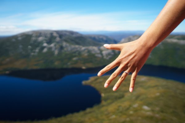 Zaruke na planini Cradle u Tasmaniji