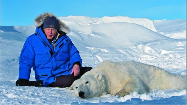 Tijekom snimanja Zamrznutog planeta pratio sam znanstvenike iz Norveškoga polarnog instituta dok su strelicom uspavljivali polarne medvjede iz helikoptera. Istraživanja su tijekom godina pokazala da medvjedi gube na težini jer teško love tuljane na sve manjim plohama morskog leda. Ako se ovakav trend nastavi, vjerojatno će dovesti do izumiranja ove vrste.