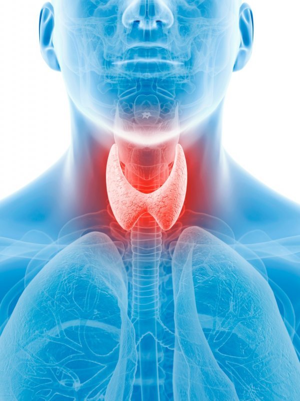 Štitnjača (lat. Glandula thyreoidea), odnosno tiroidna žlijezda, jedna je od ključnih žlijezda u organizmu