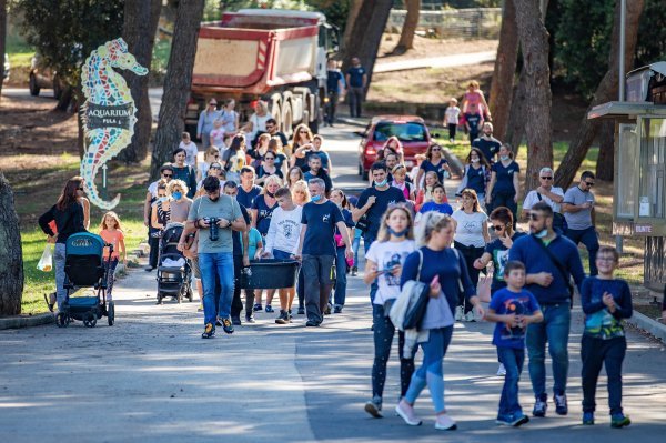 Povodom Svjetskog dana zaštite životinja, Aquarium Pula vratio oporavljene glavate želve u more