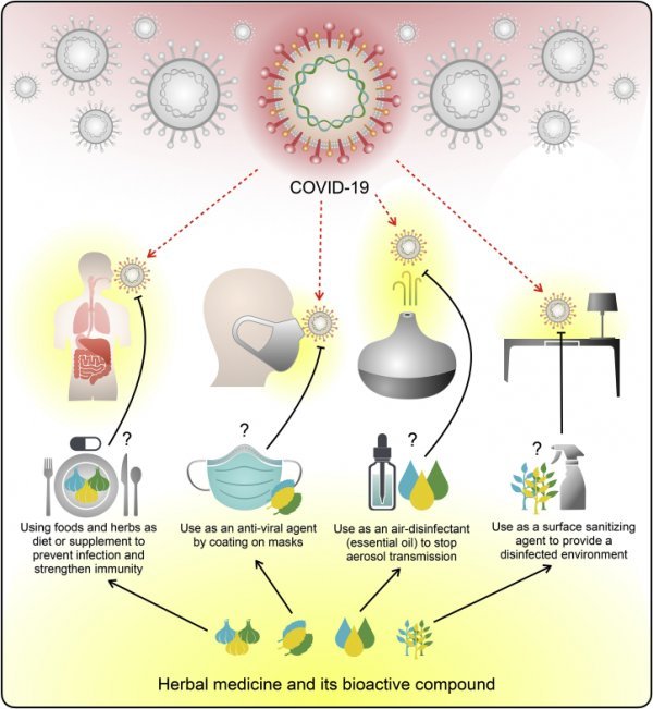 Dijetalne terapije i biljni lijekovi za prevenciju Covida-19