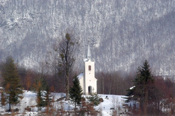 tportal