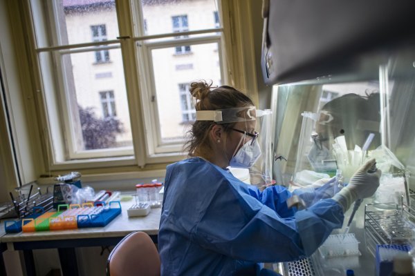 Koronavirus u Češkoj