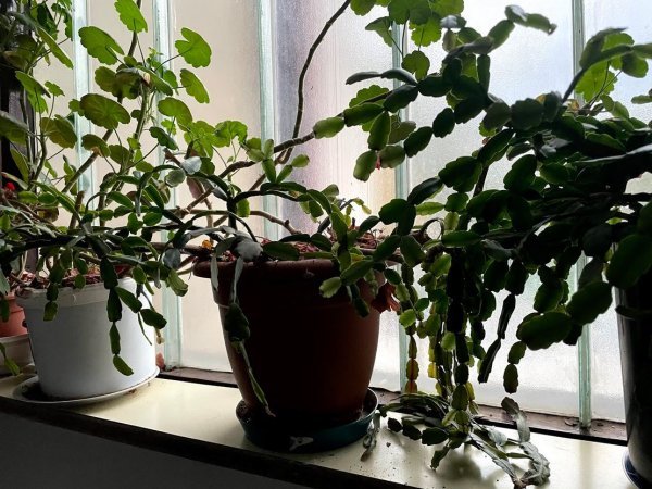 iPhone 12 Pro primjer fotografije