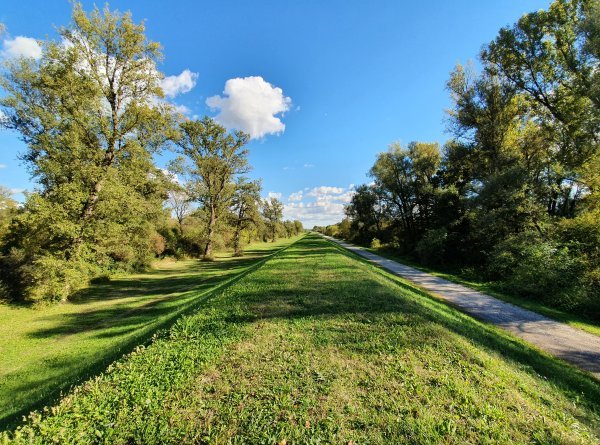 Pedaliranje: Posavina, Sisak