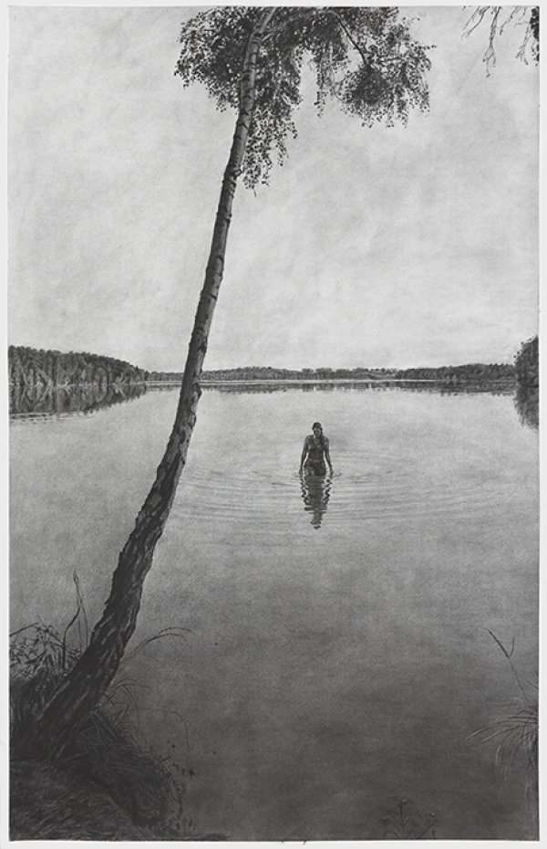 Brandenburška palma, 2020. Foto Gunter Lepkowski