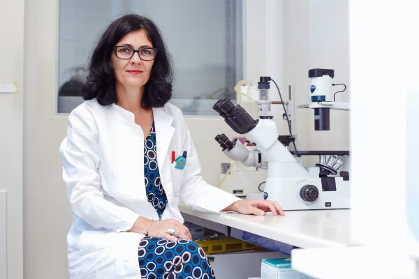 Andreja Ambriović Ristov