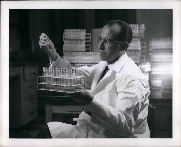 Jonas Salk razvio je cjepivo napravljeno od ubijenog virusa dječje paralize