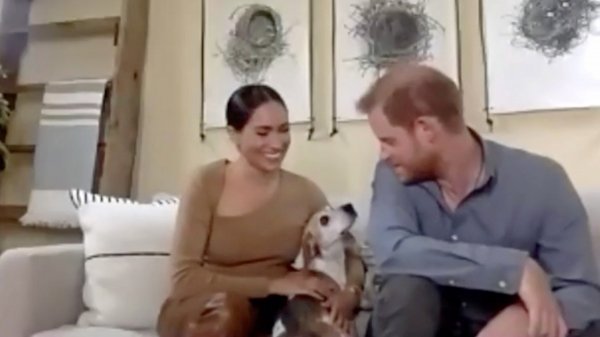 Štene se uključilo u Zoom javljanje Harryja i Meghan