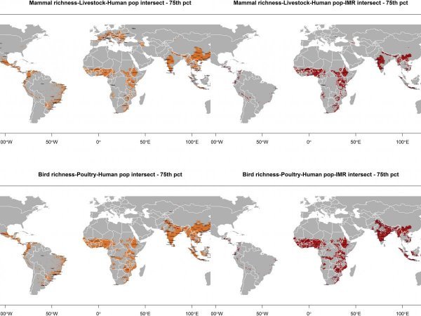 Narančaste i crvene zone: Najugroženija mjesta iz kojih nam prijete nove pandemije