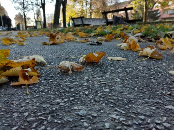 Nokia 3.4 primjeri fotografija