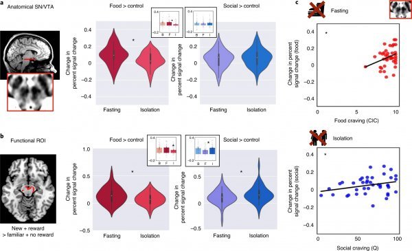 Istraživači s MIT-a pozabavili su se reakcijama mozga na izoliranost i glad