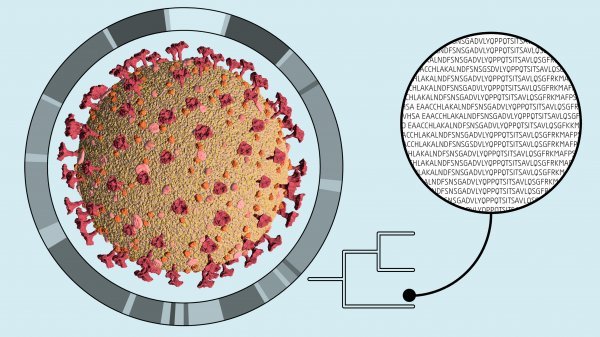 Sekvenciranje koronavirusa SARS CoV-2