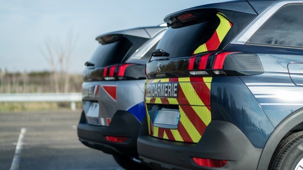 Policija i žandarmerija odabrale veliki francuski SUV