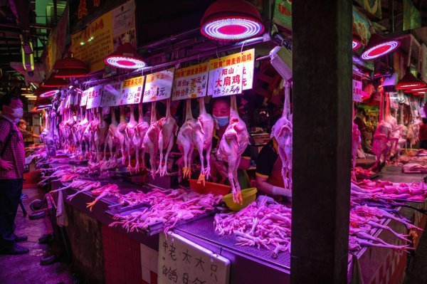 Wuhan, Kina