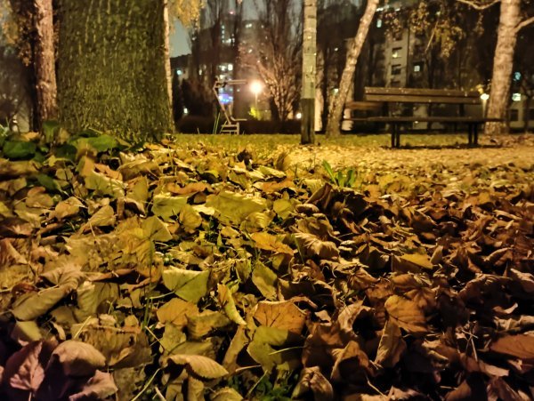 OnePlus Nord N10 5G primjer fotografija