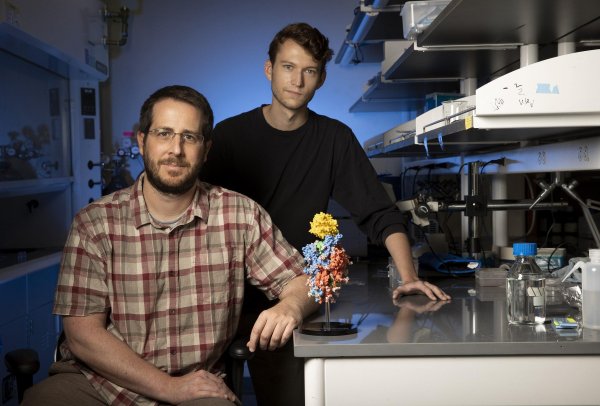 Jason McLellan i Daniel Wrapp razvili su antitijela koja se čvrsto vežu na ključno područje 'spike' proteina