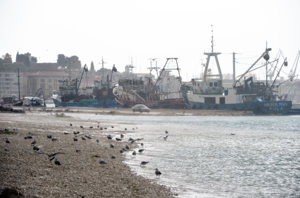 Pula: Nevrijeme uz kišu i jak vjetar čupalo stabla i poplavilo prometnice