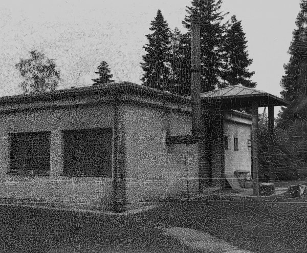 Silvestar Kolbas: Fotokemika