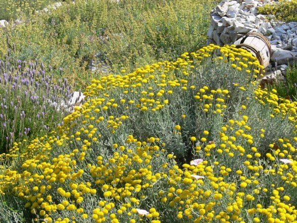 Turistička zajednica Mali Lošinj