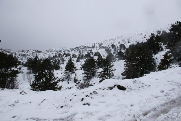 Snijeg na planini Biokovo iznad Makarske