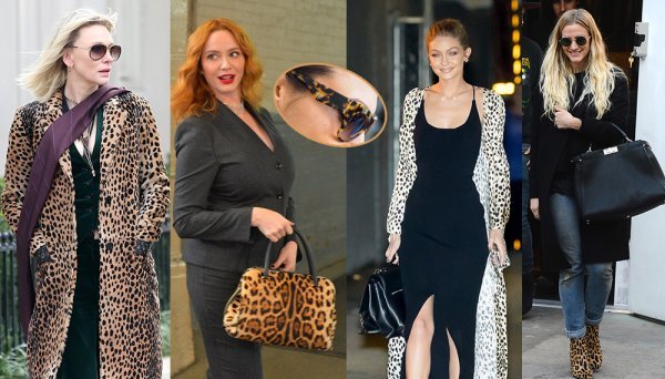 Leopard uzorak na slavnim ljepoticama