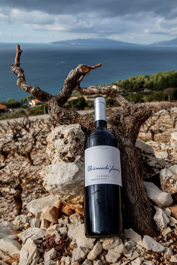 Vina Benmosche dingač i zinfandel