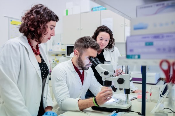 Laboratorij za molekularnu genetiku Zavoda za molekularnu biologiju Instituta Ruđer Bošković, snimljen kamerom Marka Kneževića