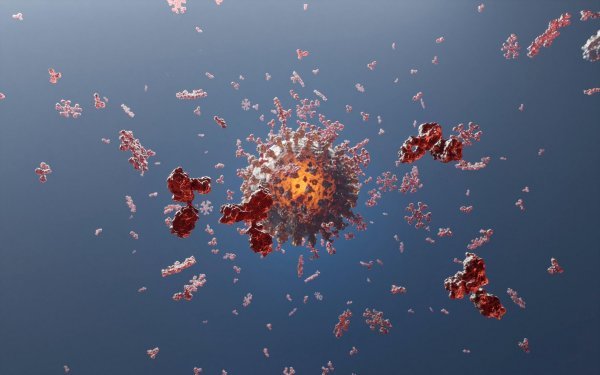 Antitijela igG i igM napadaju koronavirus