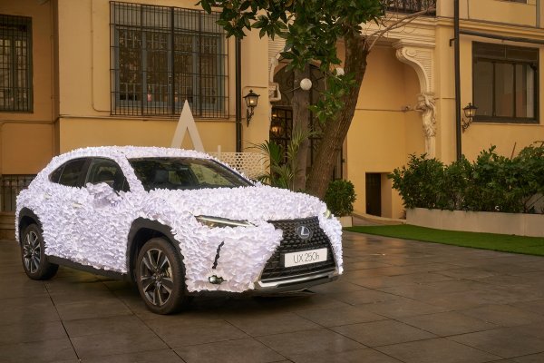 'Zen Garden' je najljepši Lexus UX 250h