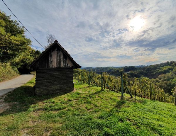 Zagorje na dlanu