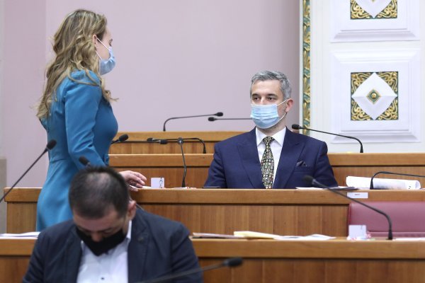 Marija Selak Raspudić, Nino Raspudić