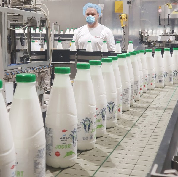 Proizvodnja jogurta Kravica kraljica u Tvornici mliječnih proizvoda Belje