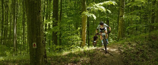 Litice oko Virovitice