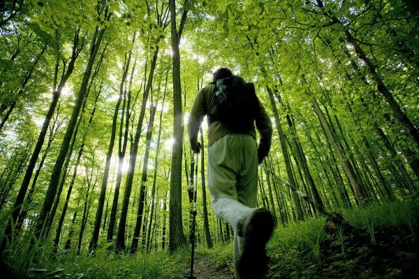 Čak i mnogim Virovitičanima bilo je pravo otkriće trčati 7-kilometarsku Utrku građana