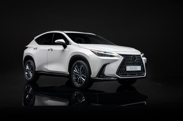 Lexus NX 250