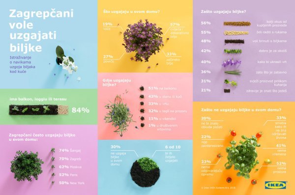 Istraživanje o navikama uzgoja biljaka kod kuće, Design District Zagreb