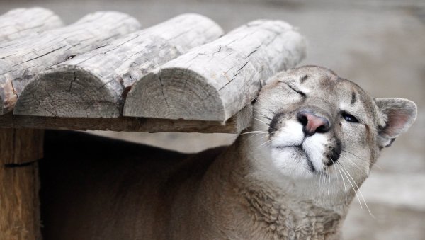 Reuters