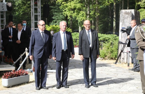 Dan antifaštičke borbe u šumi Brezovica