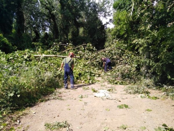 Posljedice snažnog i kratkotrajnog vjetra u Osijeku