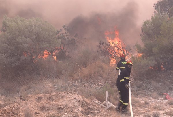 Požar kod Segeta Gornjeg